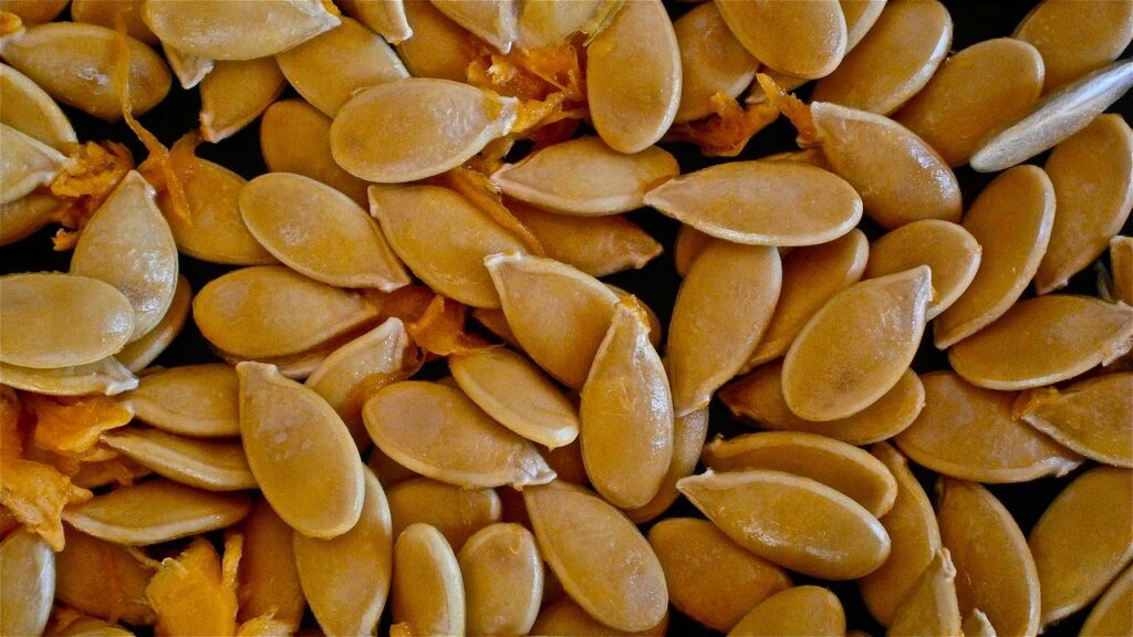 The Surprising Health Benefits of Pumpkin Seeds: A Nutrient Powerhouse You Shouldn’t Ignore