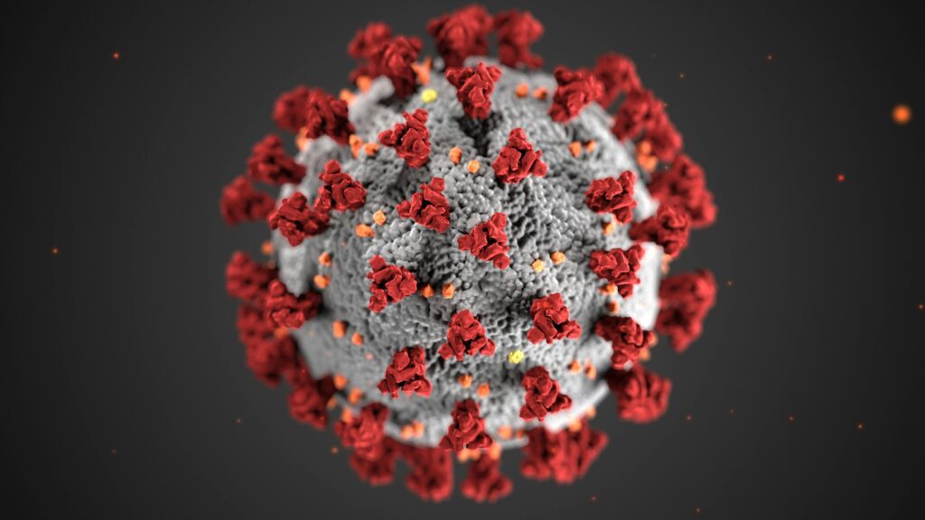 Everything You Need to Know About the Novel Coronavirus: Symptoms, Government Response, and How Concerned You Should Be