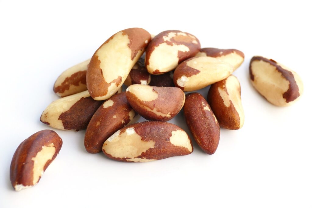 The Gut-Boosting Power of Brazil Nuts: A Simple, Stress-Relieving Snack for Gut Health
