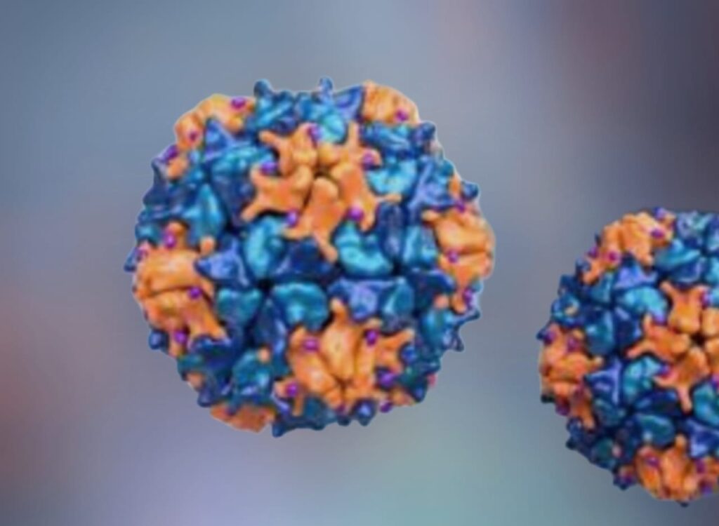 Iowa Resident Succumbs to Suspected Lassa Fever Following West Africa Visit