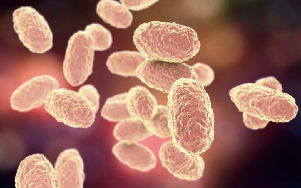 Surge in Whooping Cough Cases in the US: Highest in a Decade