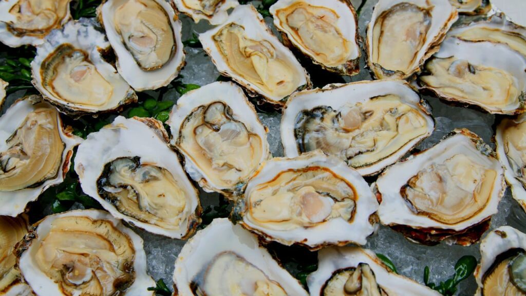 Norovirus on the Rise: How to Stay Safe from this Contagious Stomach Bug