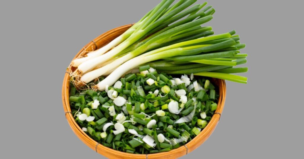 Green Onion Nutrition: Health Benefits and Nutritional Facts