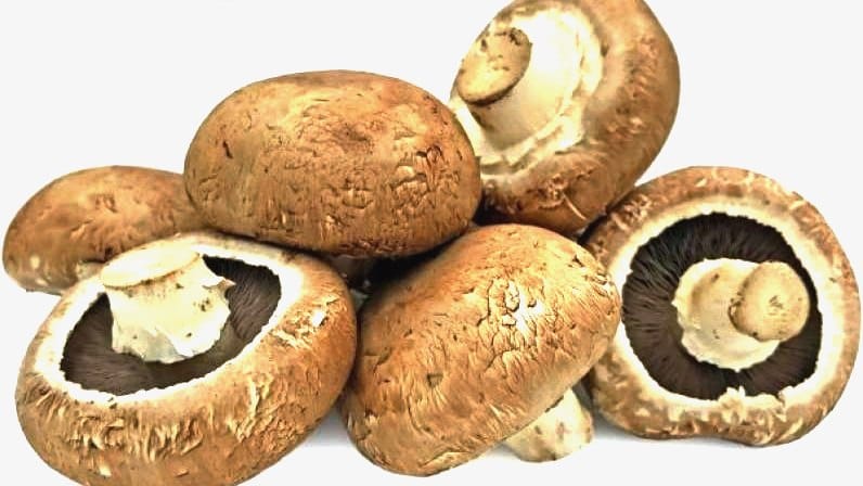 Portobello Mushroom Nutrition Facts: Health Benefits and Nutrient Profile