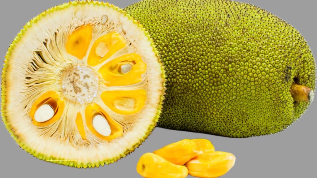 Jackfruit Flour: A Healthy, Gluten-Free Alternative Making Waves