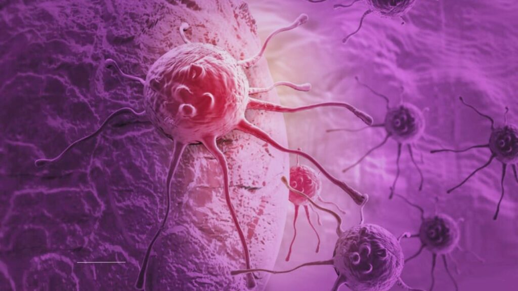 The Hidden Connection Between Immune Cells and Blood Health: What New Research Reveals