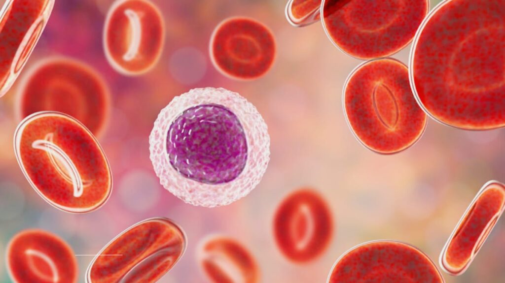 Most Dangerous Blood Cancer Types: Survival Rates, Risks, and Treatments Explained | Expert Guide