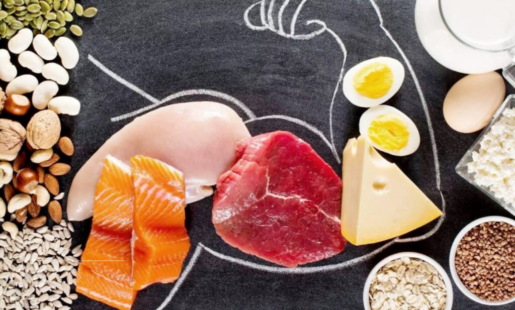Protein Myths Debunked: Science-Backed Facts About Daily Needs, Sources, and Health Benefits  