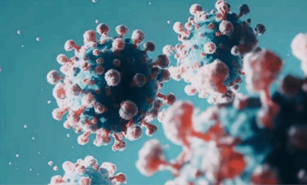 Nimbus, the latest COVID variant driving China's surge, surfaces in the US. Here’s your essential guide.