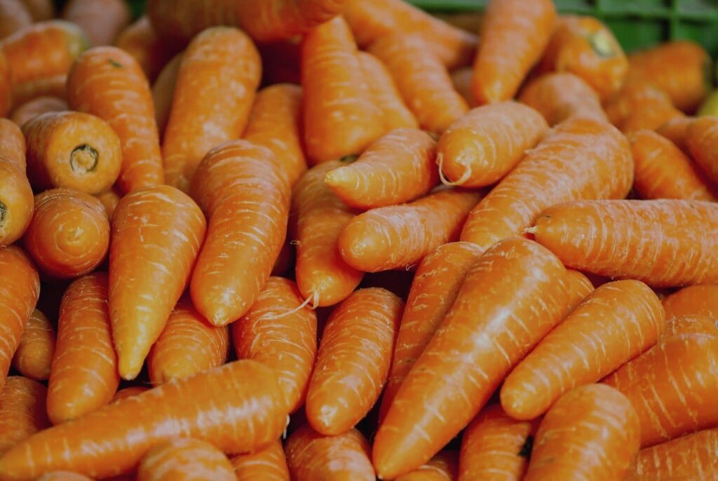 E. coli outbreak organic carrots