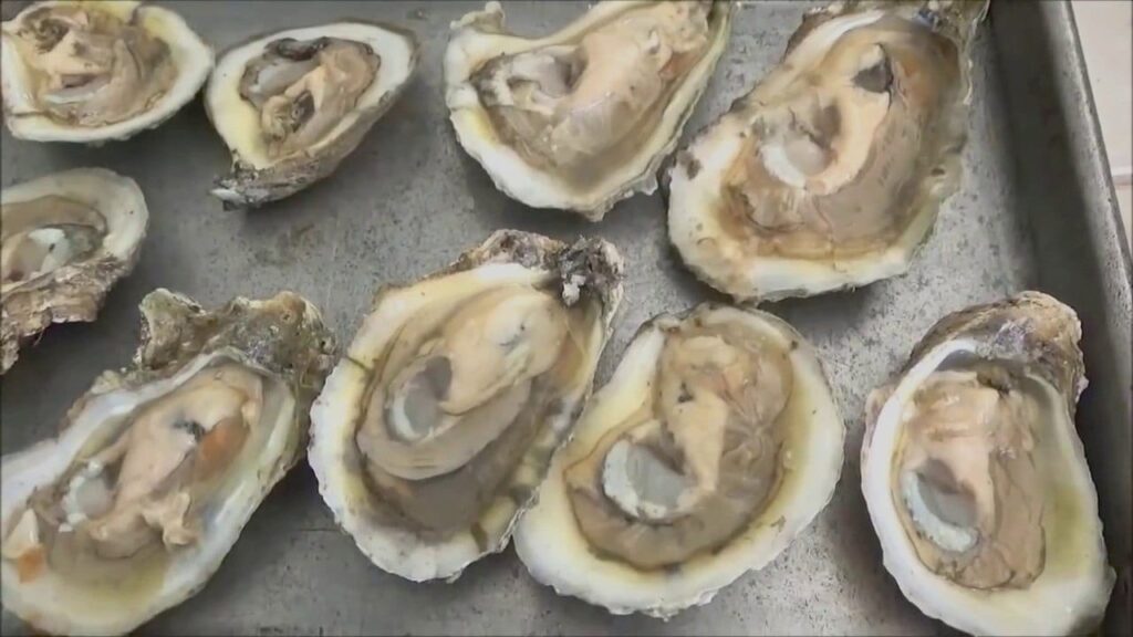 oyster nutrition facts
