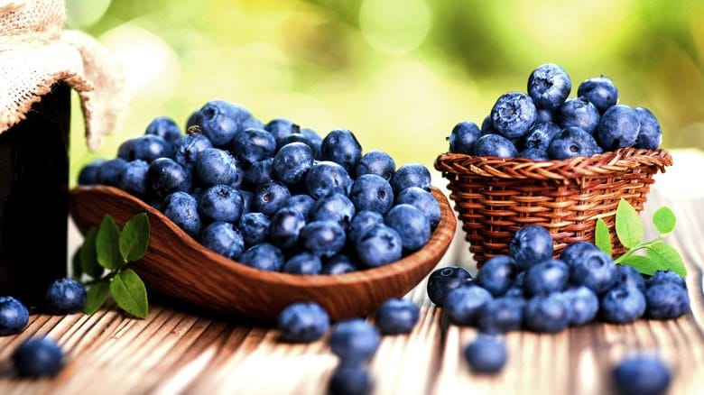 blueberry nutrition, blueberry health benefits,