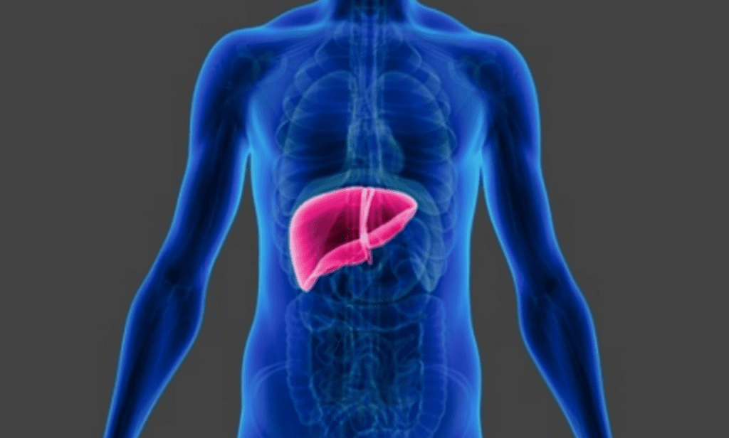 Liver-toxic supplements: hidden dangers in wellness products