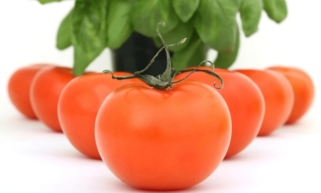 Check tomatoes now: salmonella recall for consumer safety.
