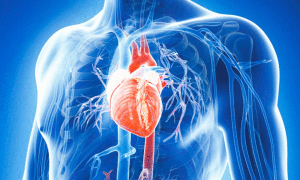 Silent aortic aneurysm condition with hidden symptoms and risks.