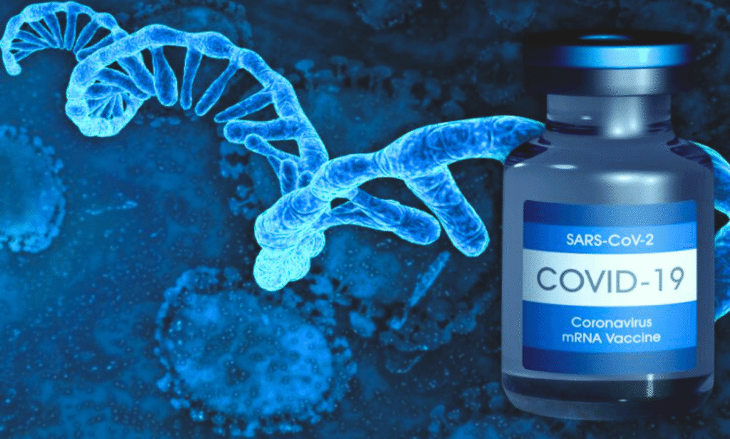 mRNA vaccine boosts cancer immunotherapy survival rates.
